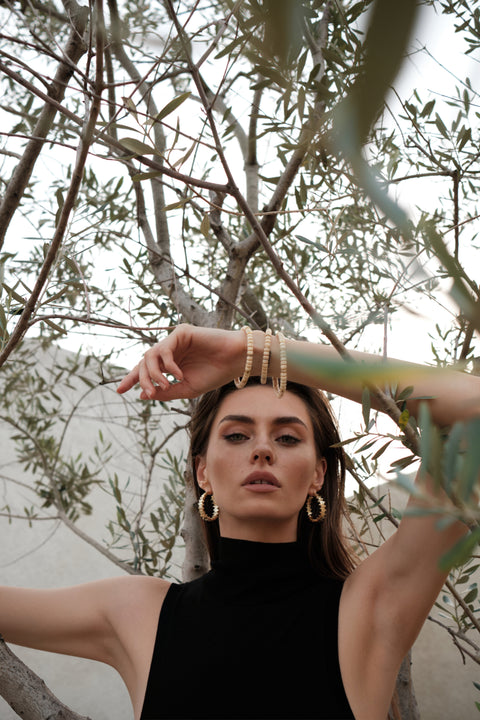 THE ICE AGE :COURAGE AND STRENGTH THE TRANSCEND TIME