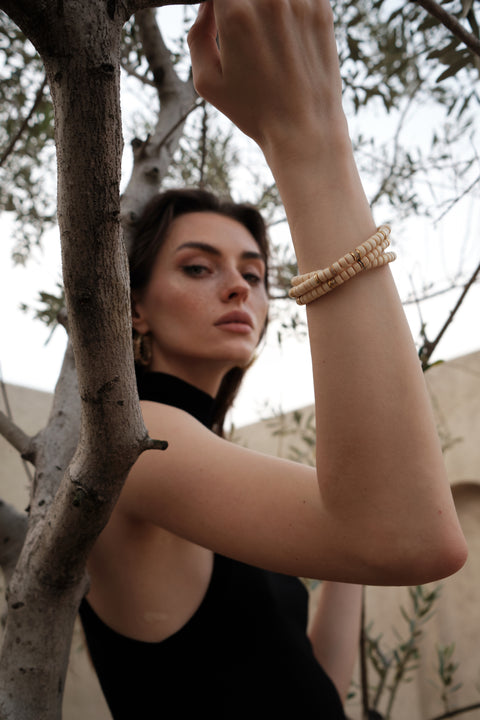 THE ICE AGE :COURAGE AND STRENGTH THE TRANSCEND TIME