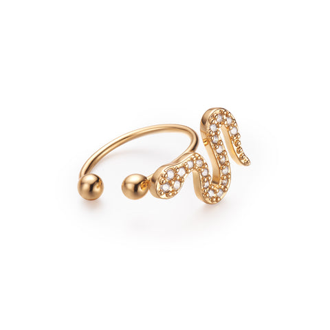 THE SNAKE-HELIX EARRING